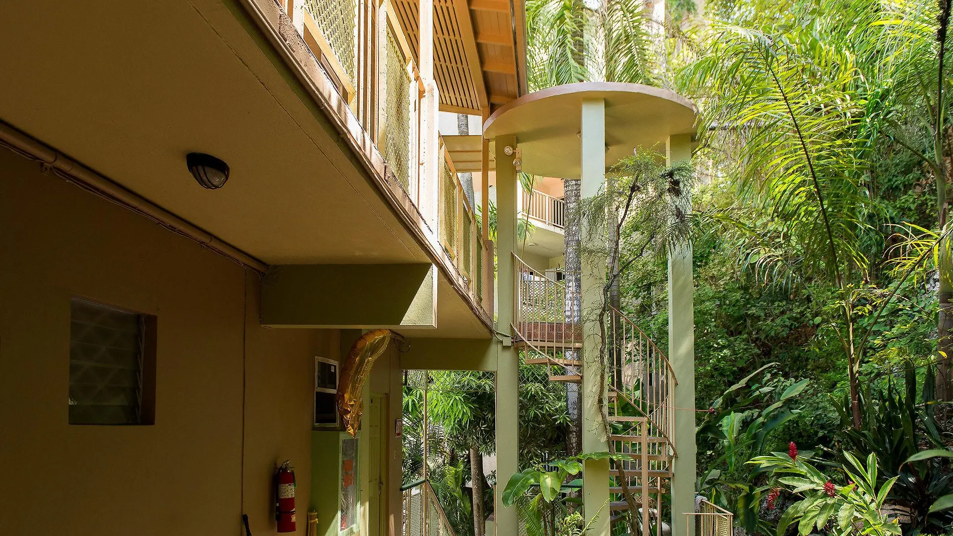 Rooms On The Hip Strip - Montego Bay location